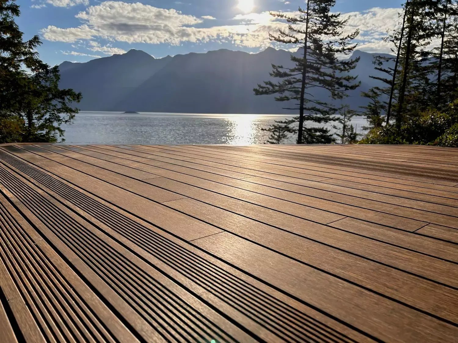 View of A smart alternative to unsustainably sourced hardwood
